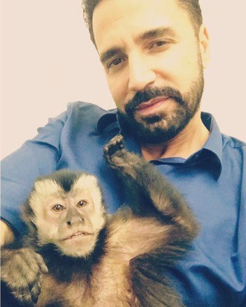 Twelves, o macaco de estimação de Latino, morreu na tarde desta terça-feira (20)