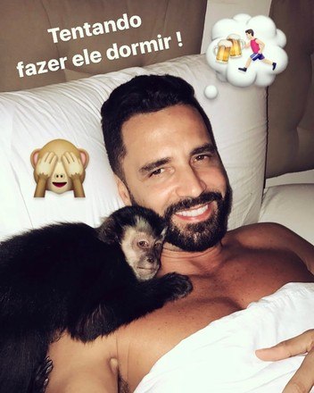 O primata foi atropelado por um carro dentro do condom&iacute;nio onde mora o cantor