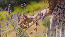 Especialista indica 6 ervas para chás que aliviam estresse e ansiedade