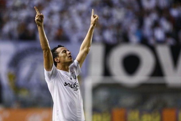 Leandro Damião (atacante, 32 anos) - Contratado por R$ 41,5 milhões pelo Santos no final de 2013.