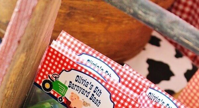 lembraninha simples para festa da fazendinha Foto Pinosy