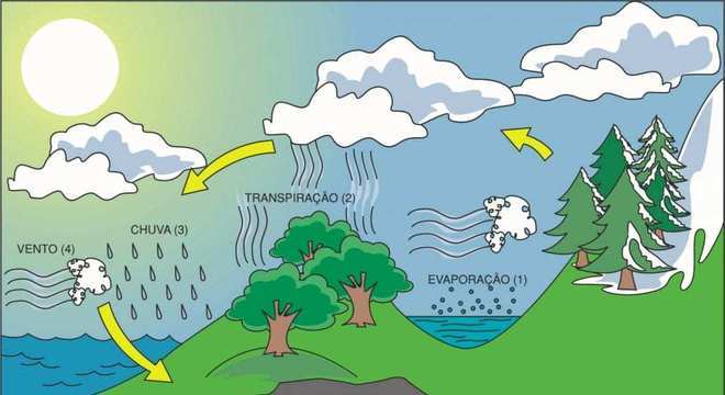 Lençol Freático, o que é? Definição, características principais, importância