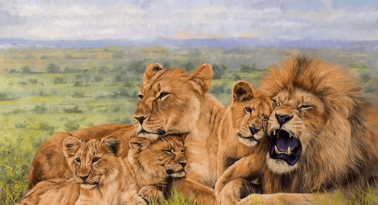 Leões - características, hábitos e estruturas de organização social