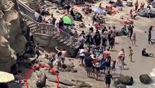 Correria e pânico: leões-marinhos esquentadinhos aterrorizam banhistas em praia