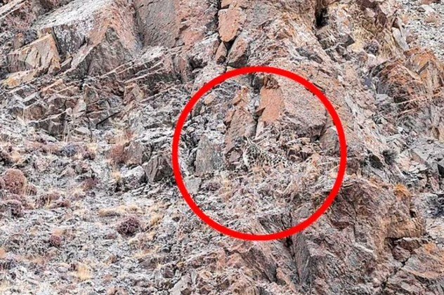 Caso tenha enfrentado dificuldades para ver mesmo com a marcação, outro zoom ajudaCONTINUE POR AQUI: Fotógrafo de Viagens de 2022: confira as incríveis imagens vencedoras da premiação