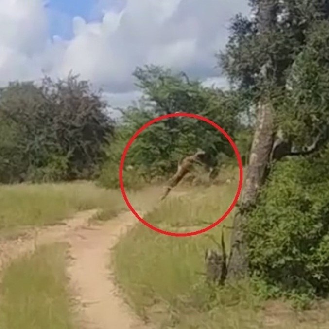 É 300% mais impressionante em vídeo, acredite
