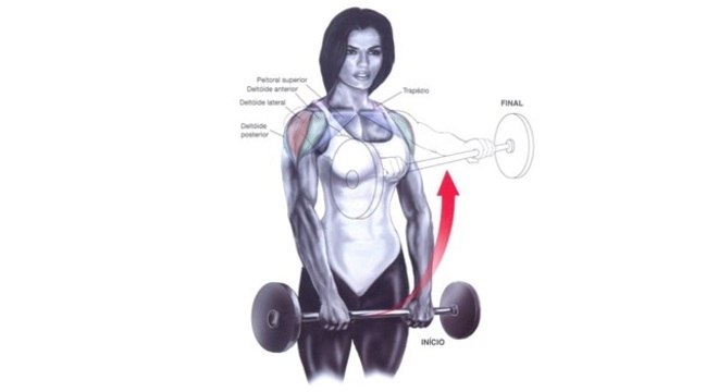 LEVANTAMENTO FRONTAL COM HALTERES OU BARRA