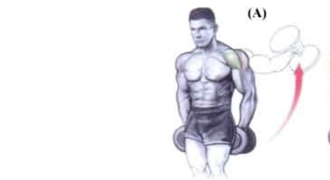 LEVANTAMENTO LATERAL COM HALTERES FIXOS