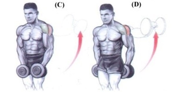 Exercicios Para Ombros 7 Exercicios Para Dar Um Up Nos Ombros