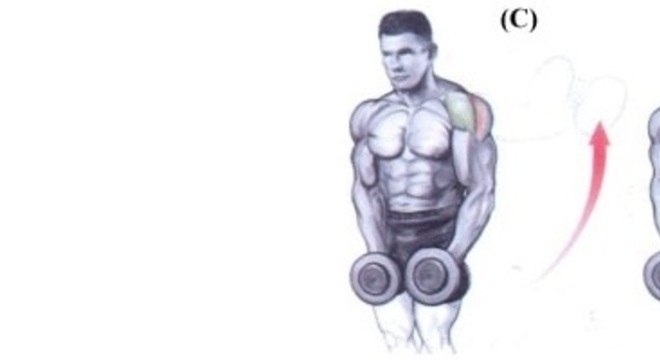 LEVANTAMENTO LATERAL COM HALTERES FIXOS