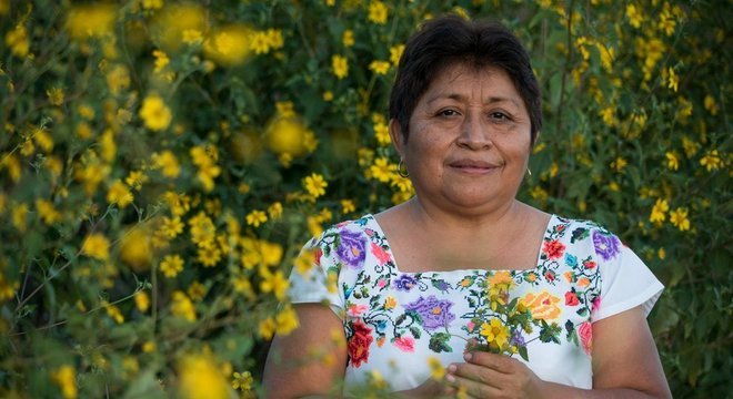 Leydy Pech, de 55 anos, sustenta sua família através da apicultura