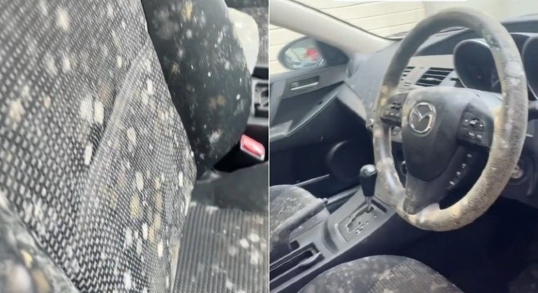 Especialista em limpeza foi surpreendida por infestação de mofo em carro
