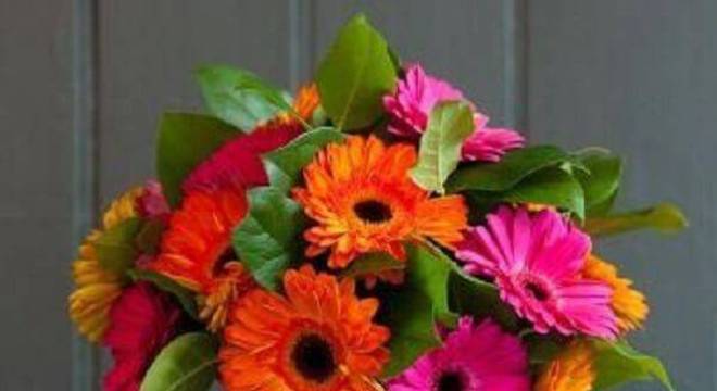 Lindo arranjo formado com flores de gérbera