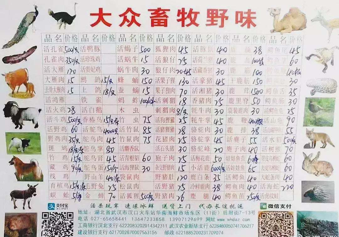Suposta lista do mercado de Wuhan com preços de animais selvagens