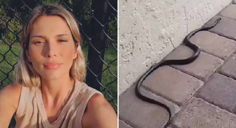 Lívia Andrade se depara com cobra na porta de casa em SP
