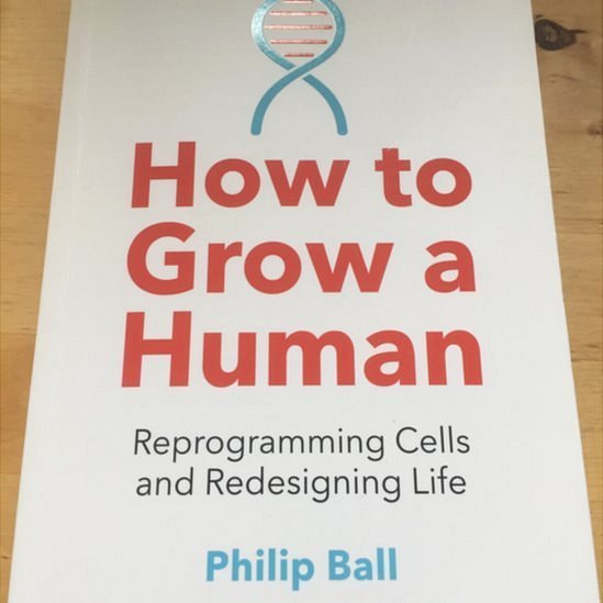 Em seu livro, Ball narra a aventura científica e pessoal de ver seu minicérebro crescer