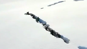 Lobos são flagrados por drone ao escavarem túnel na neve (Reprodução/Conexão Planeta)