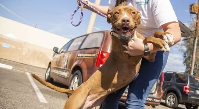 Lola saiu do canil distribuindo sorrisos