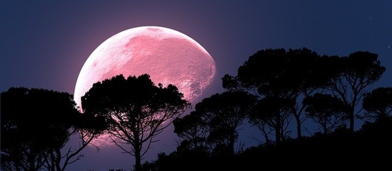 Lua rosa é a lua cheia no começo da primavera no hemisfério norte