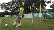 Luan treina com bola e Palmeiras se reapresenta visando a final