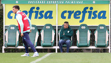 Com Lucas Barrios no CT, Palmeiras realiza atividade de olho no Santos