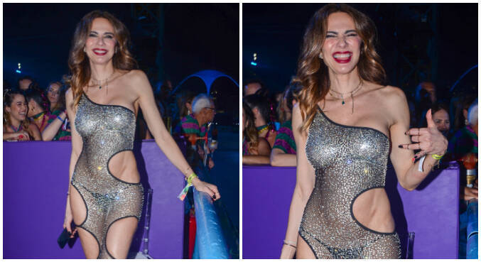 Luciana Gimenez curtiu Carnaval na Sapucaí após acidente