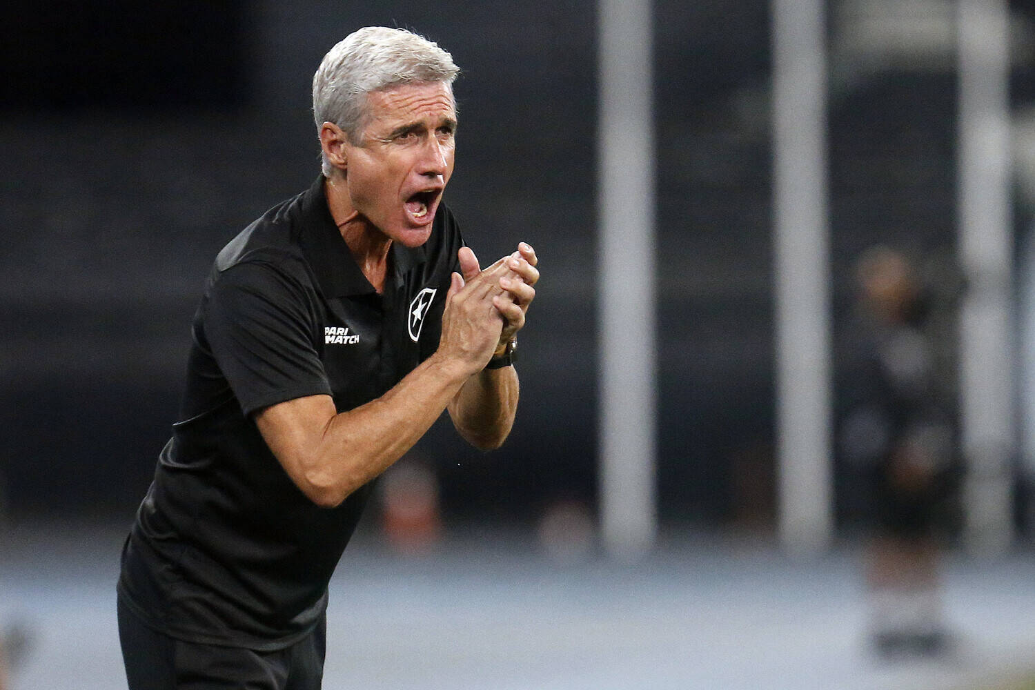 Santos busca empate com Botafogo no fim e amplia sequência invicta