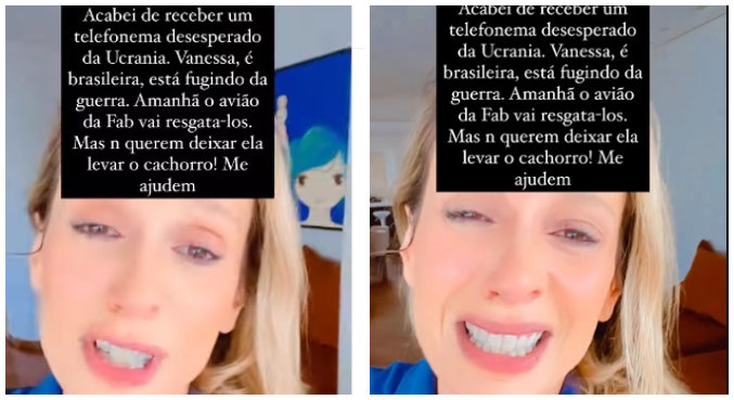Luisa Mell postou vídeos para pedir ajuda ao cachorro de brasileira na Ucrânia