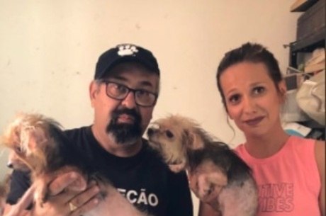Luisa Mell resgata mais de 100 animais na zona leste de São Paulo