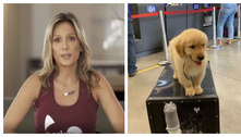 Luisa Mell critica cia aérea após morte de cachorro em voo 