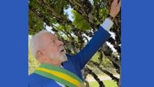 Com faixa presidencial, Lula come jabuticaba de pé que plantou no mandato anterior; veja vídeo