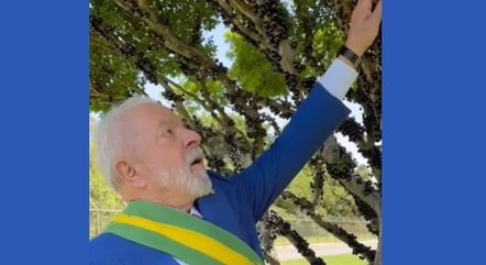 Lula comeu fruta do pé com faixa presidencial