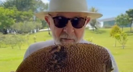 Lula 'ensina' aos candidatos o que é uma jaca