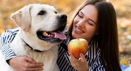 Maçã é uma das frutas recomendadas para os cachorros