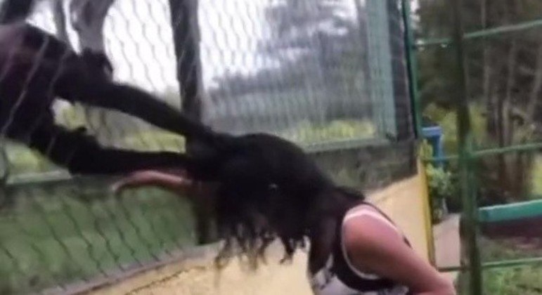 Macaco agarrou o cabelo da jovem com força