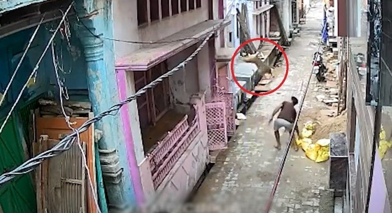 Este homem recebeu um golpe na cabeça de um macaco que ele atacou