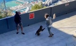 O flagrante foi registrado na estação de teleférico do Rochedo de Gibraltar, no extremo sul da Península Ibérica