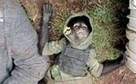 MASCOTE DO TRÁFICOEl Changito é outro macaco que entrou para a história recente. Ele era a mascote de uma gangue de traficantes do México e foi morto em um confronto do grupo com forças policiais. As imagens do símio morto, com um colete à prova de balas e um capuz camuflado, viralizaram nas redes sociais