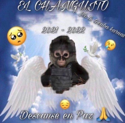 O animal foi até homenageado em postagens de qualidade duvidosa, como esta acima