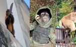 Não é de hoje que os macacos estão fora de controle. Na semana passada, o macaco flagrado amolando uma faca e praticando furtos no interior do Piauí foi apenas um lembrete de que esses animais são capazes de tudo — inclusive de cometer crimes. Relembre algumas histórias de macacos que praticaram sequestros, canibalismo, roubos e até guerras!