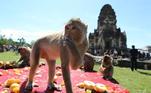 Macacos nas ruínas do templo Phra Prang Sam Yod, em Lopburi, na Tailândia