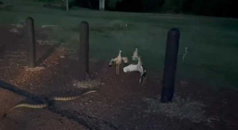 "Você não vai passar!!!"