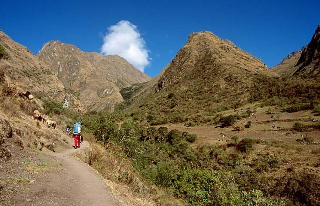 Machu Picchu fica a 2400 metros de altitude, na Cordilheira dos Andes, no vale do rio Urubamba, no Peru.