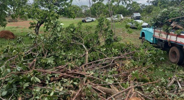 Polícia Ambiental flagrou carga irregular perto de Córrego do Cedro