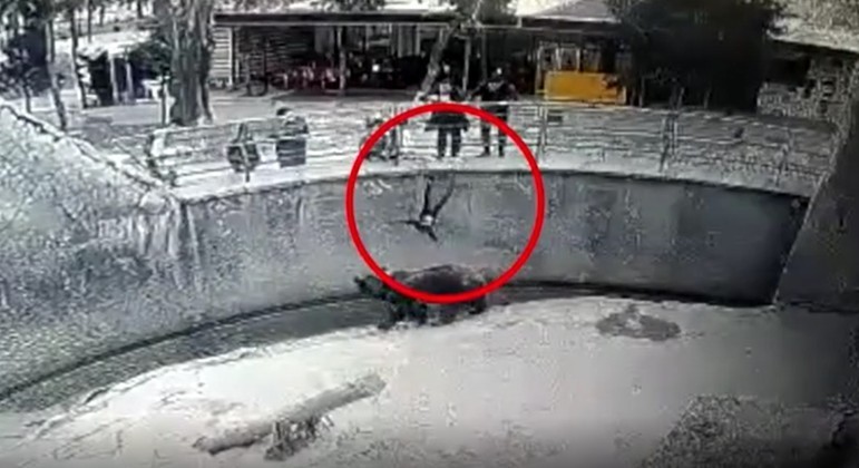Mãe foi presa após ser acusada de jogar a filha de 3 anos na jaula de um urso