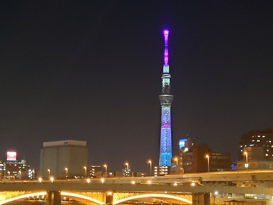Maior torre de telecomunicação do mundo, a Tokyo Skytree foi projetada para substituir a Tokyo Tower, primeira torre de TV do país. Ela é feita com estrutura de aço e tem um formato que traz resistência contra abalos sísmicos. Os visitantes contam com lojas e com 2 observatórios. E, à noite, a iluminação da torre é um espetáculo à parte. 