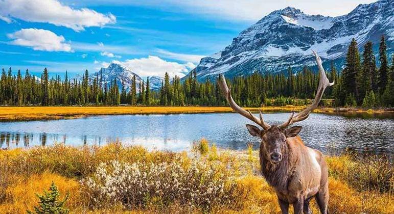 Maiores países do mundo - 15 nações com maior extensão territorial