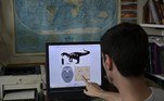 Os restos do maior megaraptor conhecido, com comprimento entre 9 e 10 metros e que viveu há 70 milhões de anos, foram encontrados no sul da Argentina, informaram à AFP dois paleontólogos que participaram da descoberta. O fóssil do dinossauro carnívoro e com garras de 40 cm foi encontrado em março de 2019, durante uma expedição ao sul da província de Santa Cruz, na Patagônia