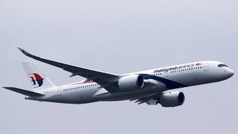Expert says missing Malaysia Airlines plane was deliberately shot down by pilot – News