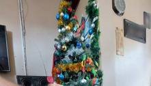 Mamba-negra, extremamente venenosa, se abriga em árvore de Natal e assusta família